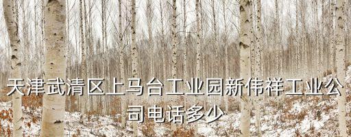 天津武清區上馬臺工業園新偉祥工業公司電話多少
