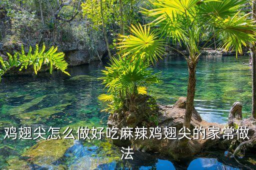 雞翅尖的做法，香糟雞翅尖的做法是什么