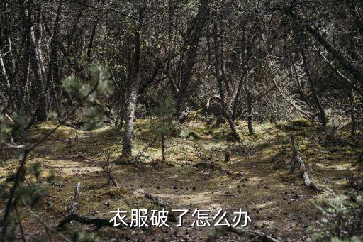 衣服破了怎么辦