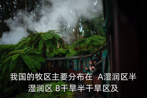 農牧區(qū)，我國的牧區(qū)主要分布在  A濕潤區(qū)半濕潤區(qū) B干旱半干旱區(qū)及