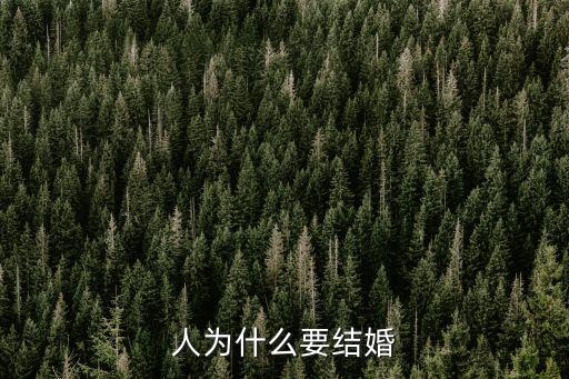 人為什么要結婚