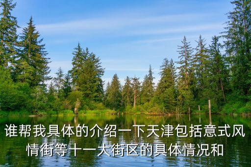 誰(shuí)幫我具體的介紹一下天津包括意式風(fēng)情街等十一大街區(qū)的具體情況和