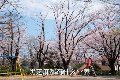 黑芝麻都有什么營養