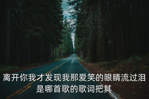 離開你我才發現我那愛笑的眼睛流過淚是哪首歌的歌詞把其