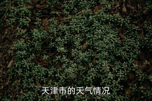 天津市的天氣情況