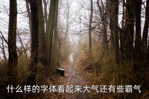 大氣字體，看上去比較大氣的字體有哪些