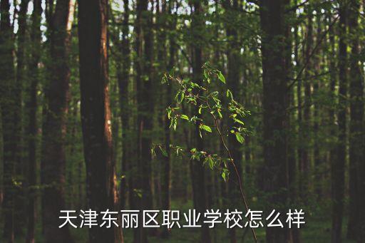 天津市東麗湖職校，天津東麗區職業學校怎么樣