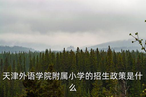 天津外語(yǔ)學(xué)院附屬小學(xué)的招生政策是什么