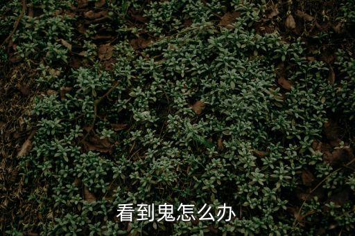 看到鬼怎么辦