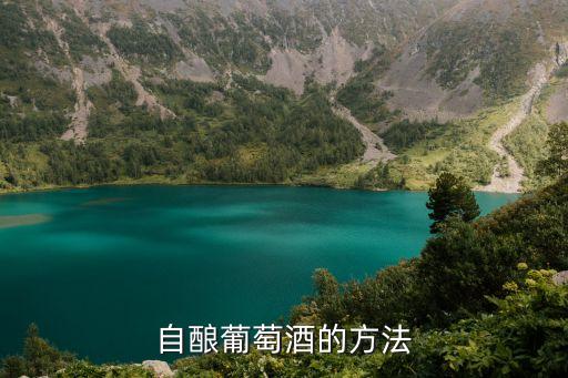 自釀葡萄酒的方法