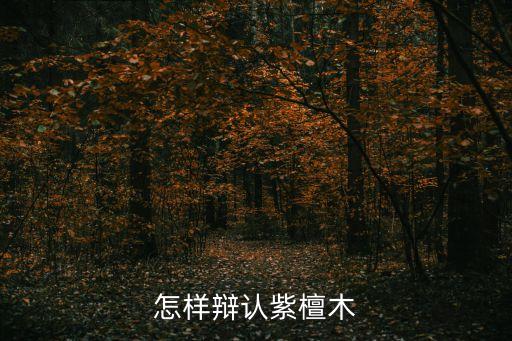 怎樣辯認(rèn)紫檀木