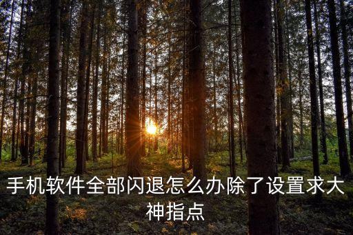 手機軟件全部閃退怎么辦除了設置求大神指點