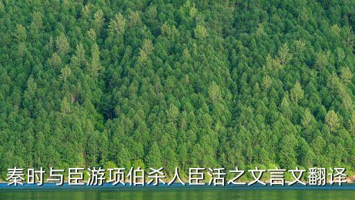 秦時與臣游項伯殺人臣活之文言文翻譯