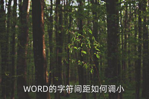 WORD的字符間距如何調(diào)小