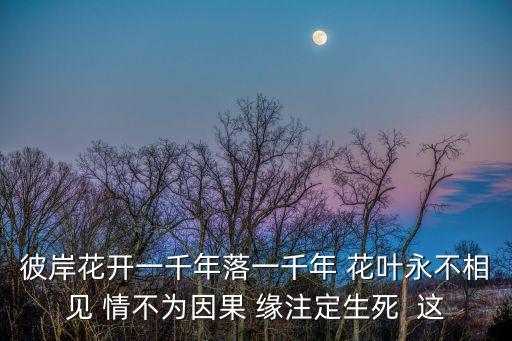 緣注定，情不為因果緣注定生死為何解釋