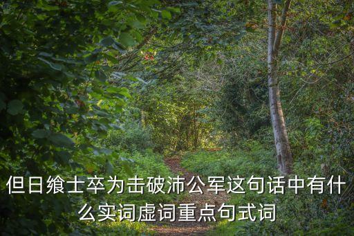 為擊破沛公軍翻譯，但日饗士卒為擊破沛公軍這句話中有什么實詞虛詞重點句式詞