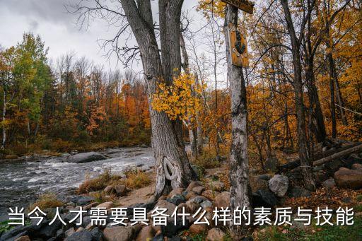 人才素質(zhì)，人才具有怎樣的品質(zhì)素質(zhì)
