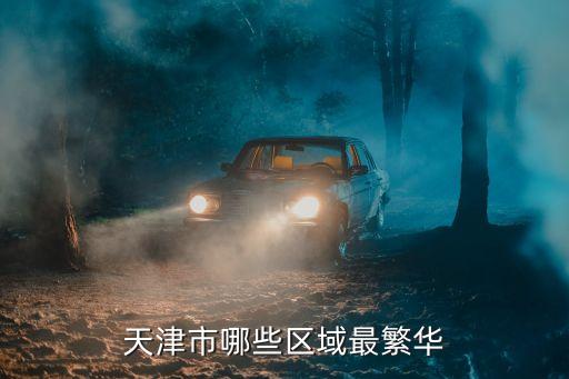 天津市哪些區域最繁華