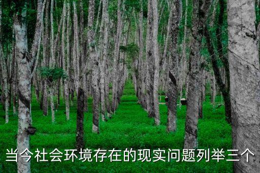 當今社會問題，當今社會環境存在的現實問題列舉三個