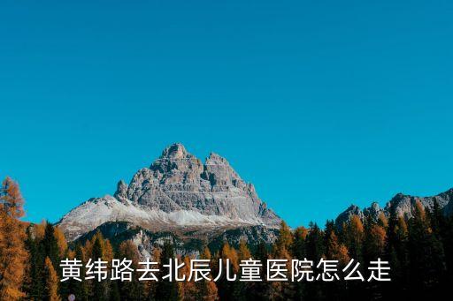 天津市北辰幾家公立醫(yī)院，天津市北辰區(qū)醫(yī)院是市級以上公立醫(yī)院嗎