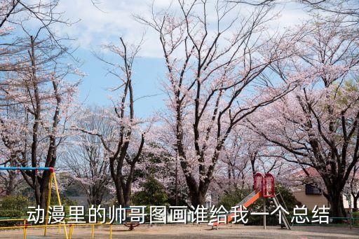 動漫里的帥哥圖畫誰給我一個總結(jié)