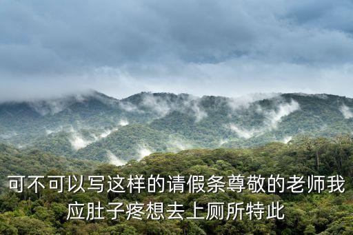 可不可以寫這樣的請假條尊敬的老師我應(yīng)肚子疼想去上廁所特此