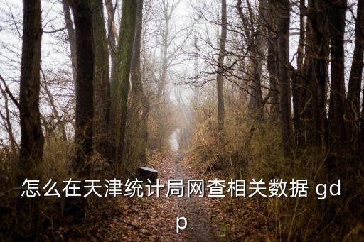 怎么在天津統計局網查相關數據 gdp