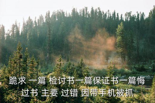 跪求 一篇 檢討書一篇保證書一篇悔過書 主要 過錯(cuò) 因帶手機(jī)被抓