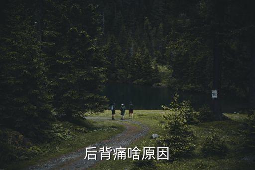 后背痛啥原因