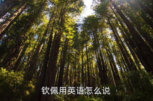 欽佩用英語怎么說