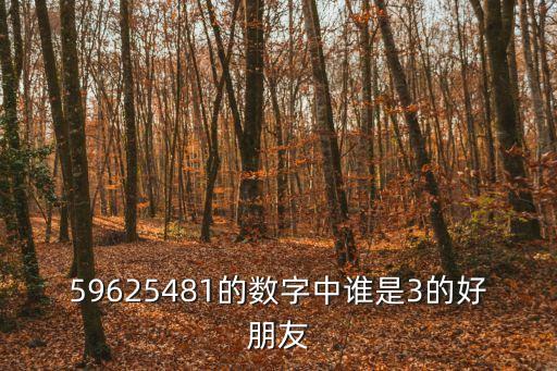 59625481的數字中誰是3的好朋友