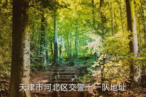 天津市河北區(qū)交警十一隊地址