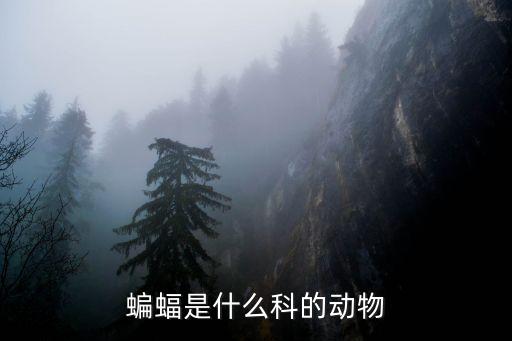 蝙蝠科，蝙蝠屬于哪科