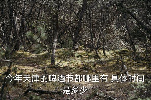 今年天津的啤酒節(jié)都哪里有 具體時(shí)間是多少
