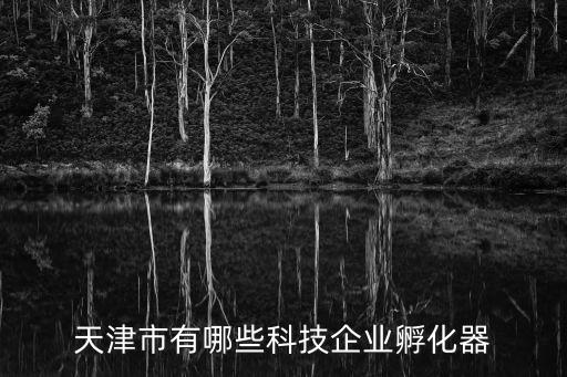 天津市借力科技，天津首家新媒體公司做了多少項(xiàng)目