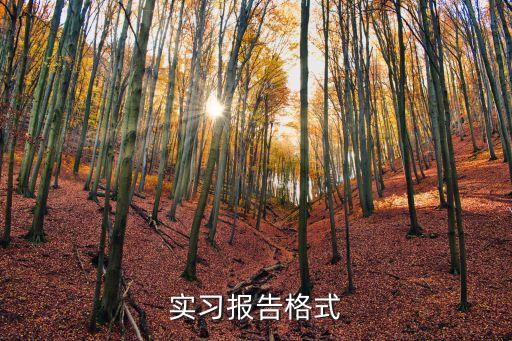 實習模板，實習報告格式