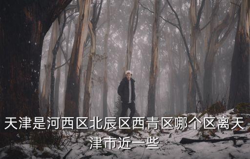 天津西青區(qū)哪個鎮(zhèn)離天津市最近，天津是河西區(qū)北辰區(qū)西青區(qū)哪個區(qū)離天津市近一些