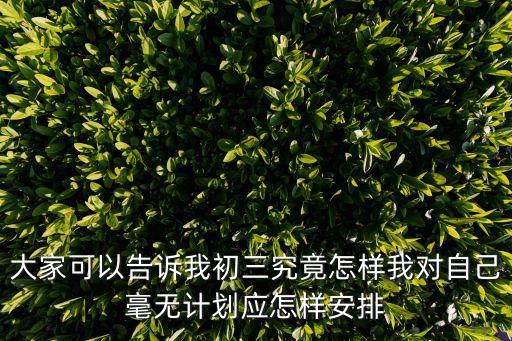 大家可以告訴我初三究竟怎樣我對自己毫無計劃應怎樣安排