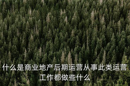 商業(yè)地產(chǎn)運(yùn)營，什么是商業(yè)地產(chǎn)后期運(yùn)營從事此類運(yùn)營工作都做些什么