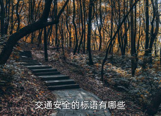 交通安全的標語有哪些