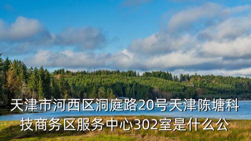 天津市河西區洞庭路20號天津陳塘科技商務區服務中心302室是什么公