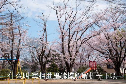 什么叫 宰相肚里能撐船解析一下喂