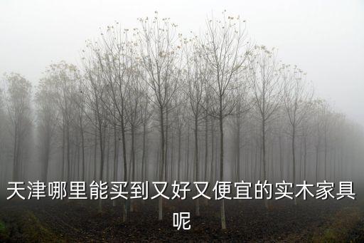 天津哪里能買到又好又便宜的實木家具呢