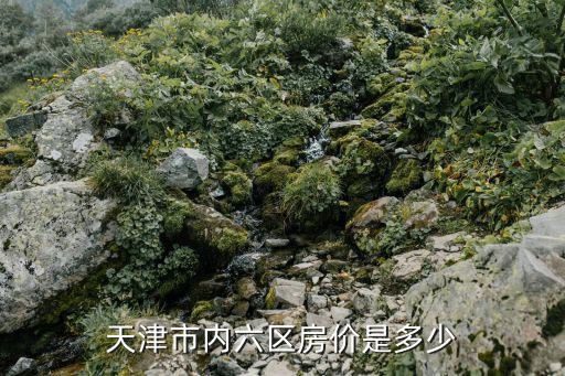 天津市內六區房價是多少