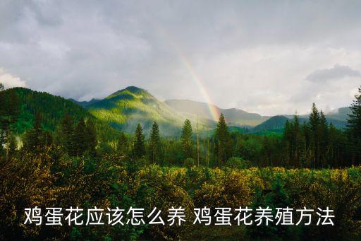 雞蛋花的養殖方法和注意事項，雞蛋花應該怎么養 雞蛋花養殖方法