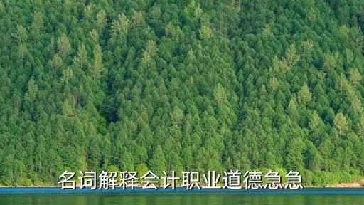 名詞解釋會(huì)計(jì)職業(yè)道德急急