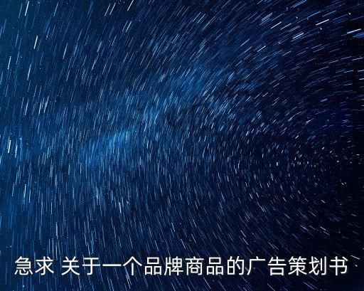 急求 關(guān)于一個(gè)品牌商品的廣告策劃書(shū)