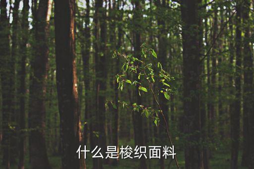 什么是梭織面料，什么是梭織布