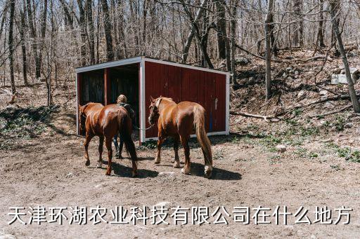 天津環湖農業科技有限公司在什么地方