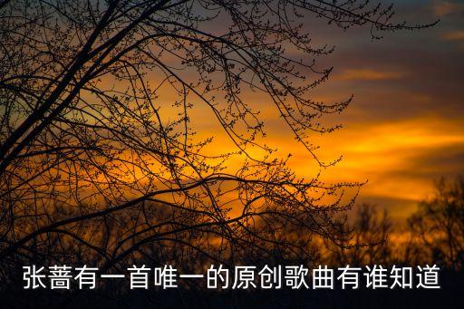 張薔有一首唯一的原創歌曲有誰知道